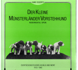 Der Kleine Münsterländer Vorstehhund.
