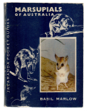 Marsupials of Australia.